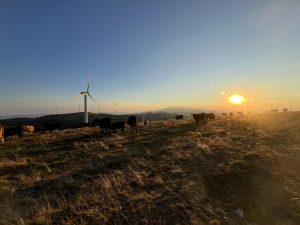 Делегация на БТПП посети Китайския бизнес център на АСЕАН