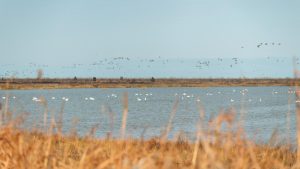 Органът на ООН си партнира с частния сектор, за да създаде устойчив патрул в природния резерват