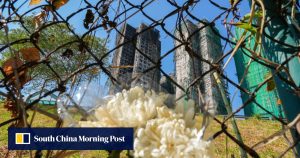 Жертвите от пожара в Хонконг достигат 160 след ДНК анализ