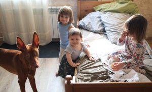 16,9% от хората в ЕС са живели в пренаселени домакинства