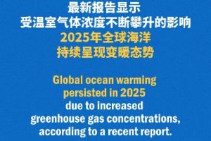 Рекордна топлина в океана през 2025 година