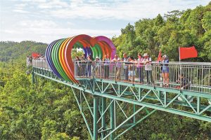 Слънце, трепети и корени – Пътуване