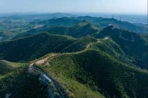 Китай завърши озеленяване на над 8 млн. хектара през 2025 г.