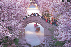 Пролетно стимулиране на „цъфтящ бум“ бизнес